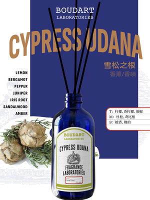 OEM CYPRESS UDANA Reed Diffuser Bottiglia di vetro naturale olio essenziale Aroma Rattan Sticks