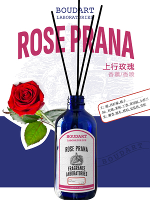 ROSE PRANA Aldeidi diffusori di canna e Freesia per bottiglie di vetro naturale