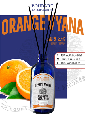 OEM diffusore di canna aroma arancione e cannella base bottiglia di vetro naturale profumo