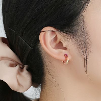 Arcobaleno Sterling Silver Jewelry Earrings