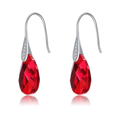 Gancio lungo Sterling Silver Jewelry Earrings