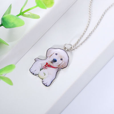 collana personale d'avanguardia d'argento su ordinazione 2.2cm della medaglietta per cani delle collane S925 di 0.87in